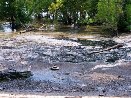 polluted mississippi river Pictures, Images and Photos
